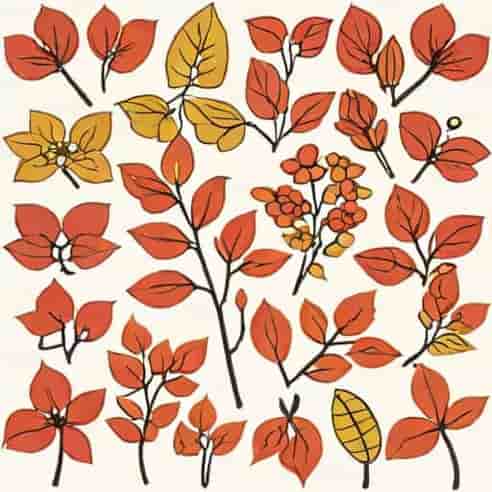 Red Twigged Dogwood Varieties