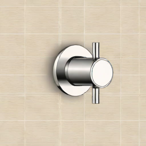 Shower Thermostatic Valve