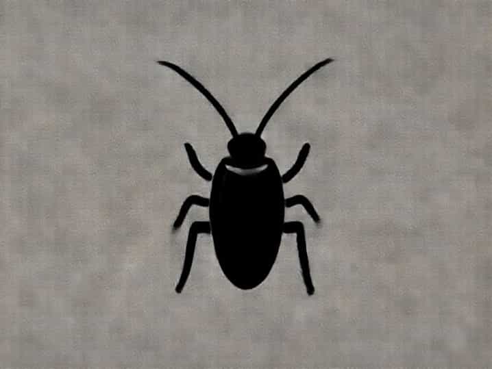 The Baby Of Cockroach