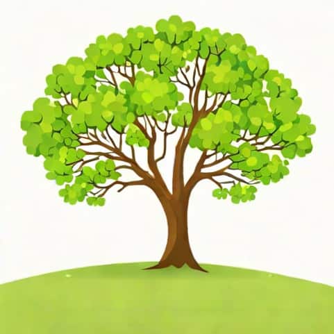 Vectra Bank Lone Tree