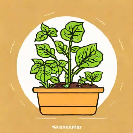 What Can You Grow Hydroponically