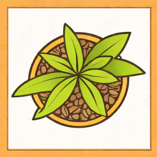 What Is Aniseed In Hindi