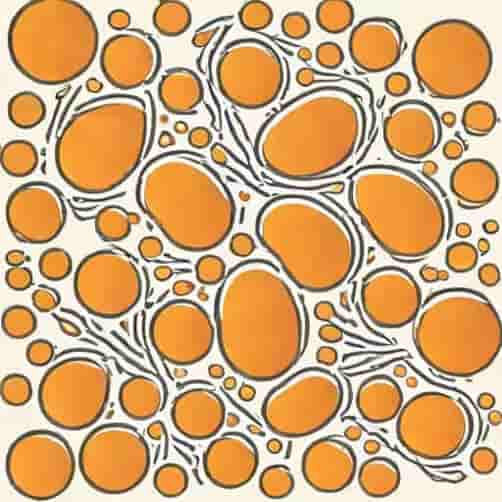 Yarrowia Lipolytica Lipid Production