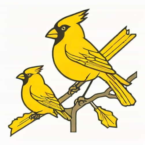 Yellow Cardinal Advisory Group