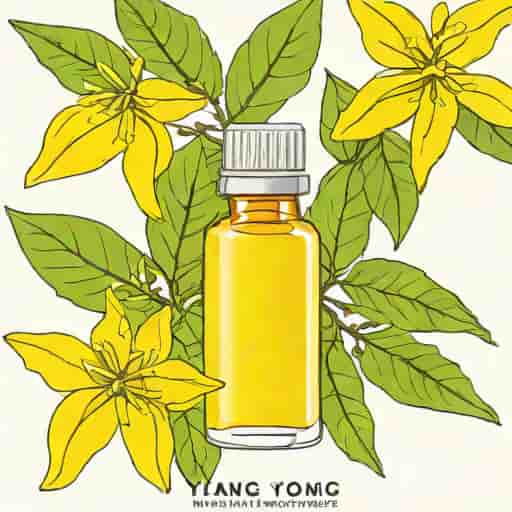 Ylang Ylang Oleo Essencial Beneficios