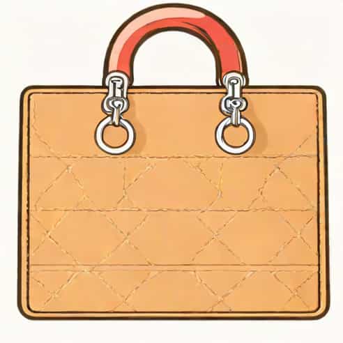 A Christian Dior Bag
