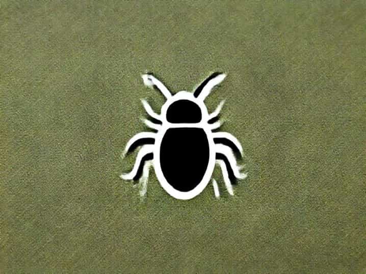 Black Bean Aphid Control