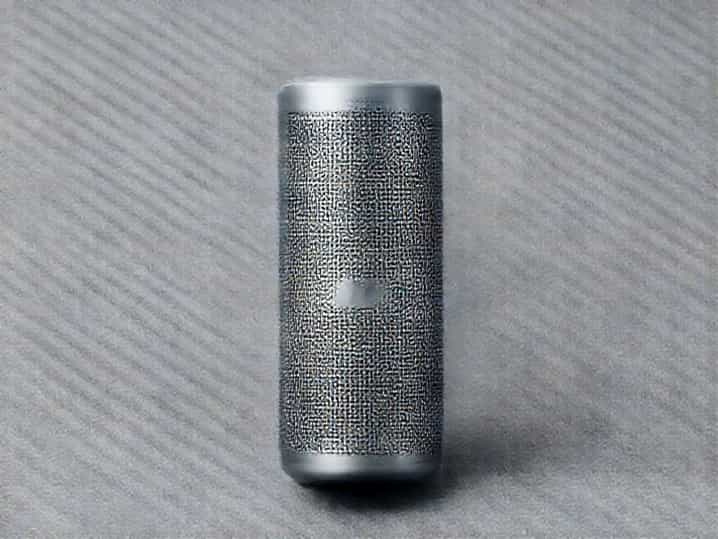 Bose Soundlink Flex 2