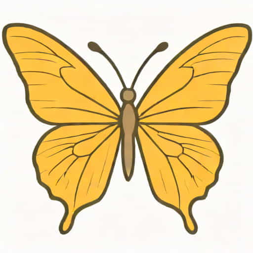 Butterfly Drawing Easy