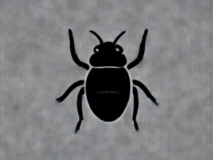 Call Of The Scarab