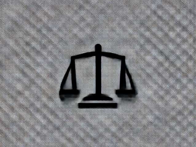 Concurred In The Judgment