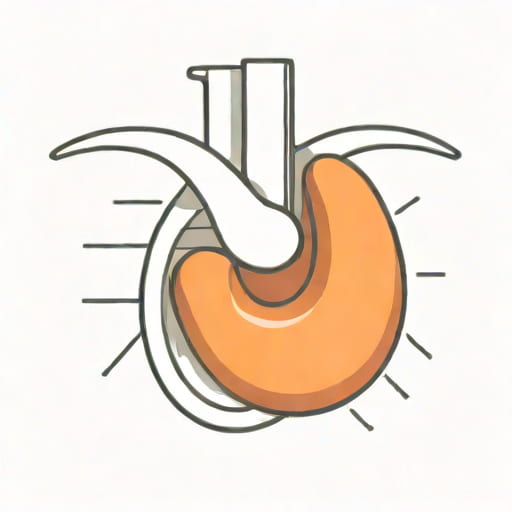 Echogenic Foci Adherent To The Gallbladder Wall