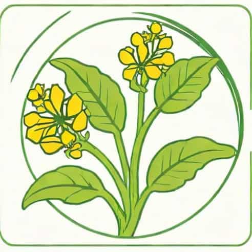 Example Of Obligate Saprophyte