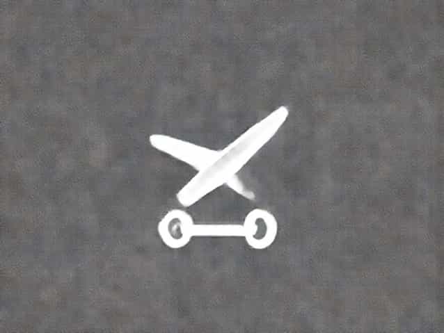 Flight Check In Scoot