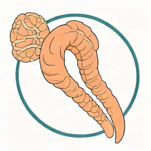 Grade C Esophagitis Treatment
