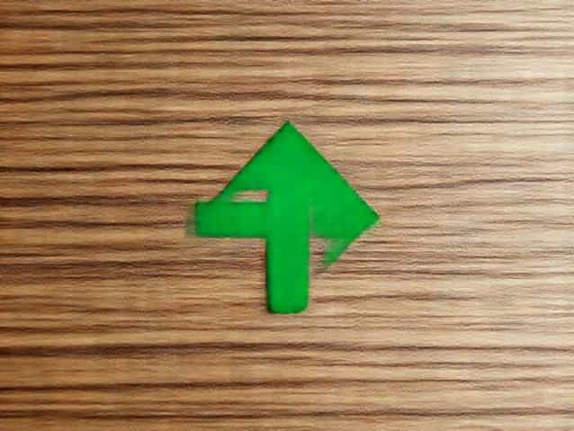 Green Arrow Alaskan Cedar
