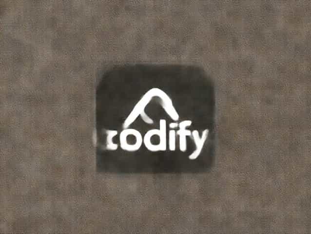 How Much Is Codify By Aapc