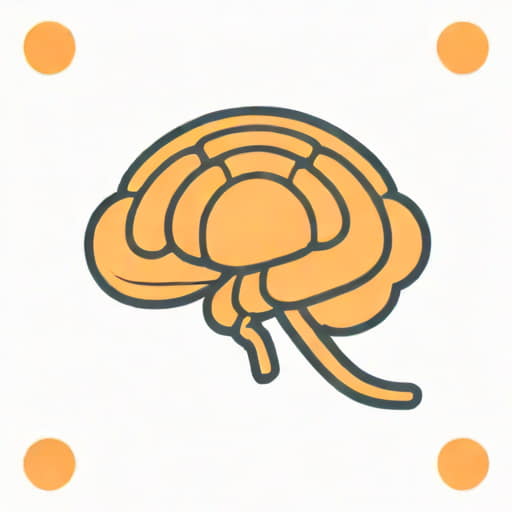 Identify The Choroid Quizlet