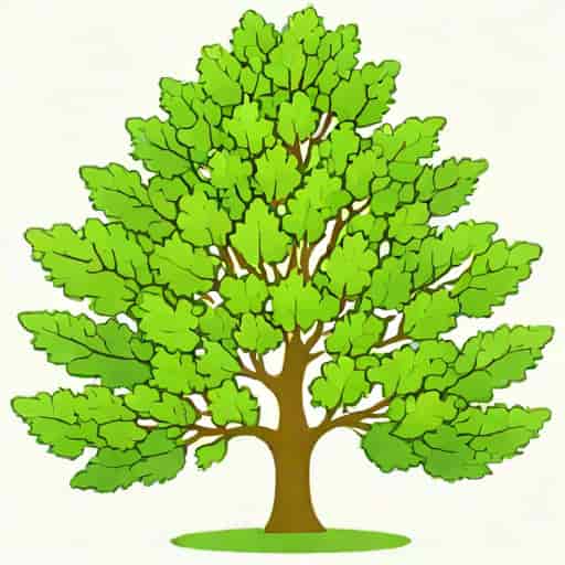 Jolly Green Giant Arborvitae