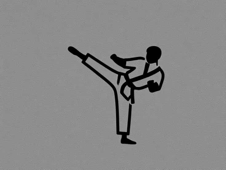 Karate Combat Kickback 2