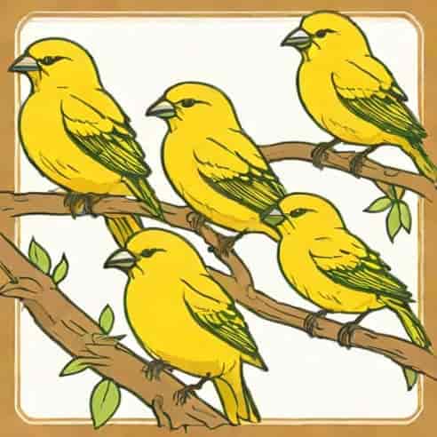 Kijiji Canaries For Sale