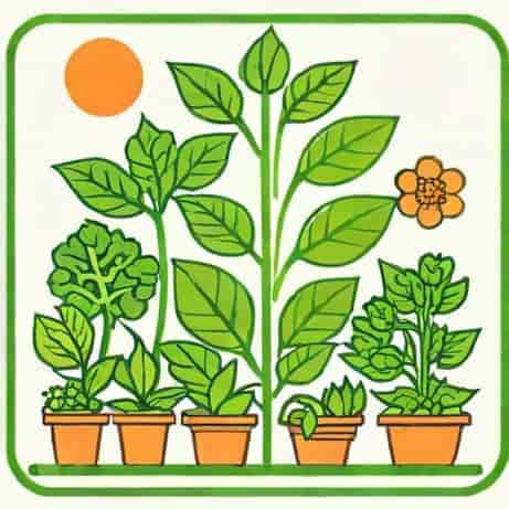 National Horticulture Board Located At