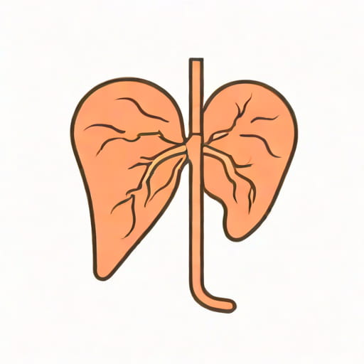Normal Liver Span In Children