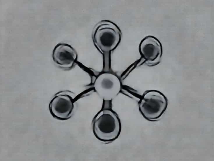 Of Cell Division Mitosis
