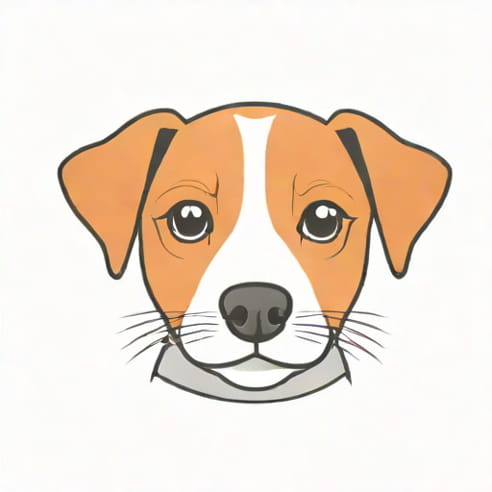 Puppy Jack Russell Terrier