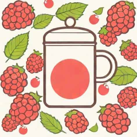 Raspberry Zinger Tea Pregnancy