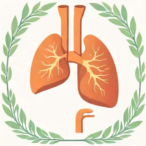 Secondary Lobar Bronchi Visible Body