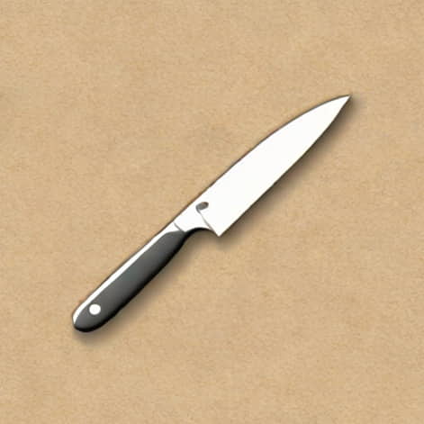 Stainless Steel Paring Knife