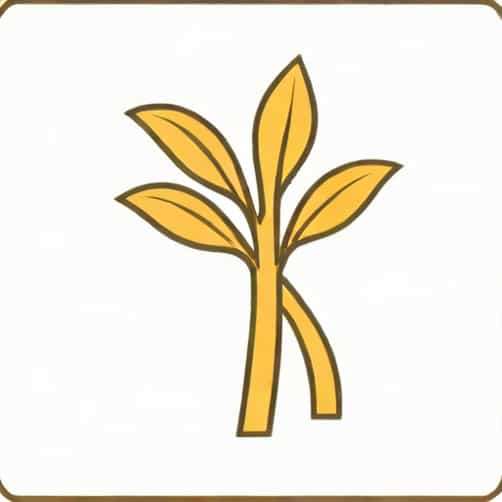 Substitute For Orris Root