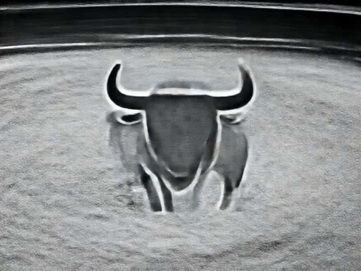 The Bullfight In Spanish