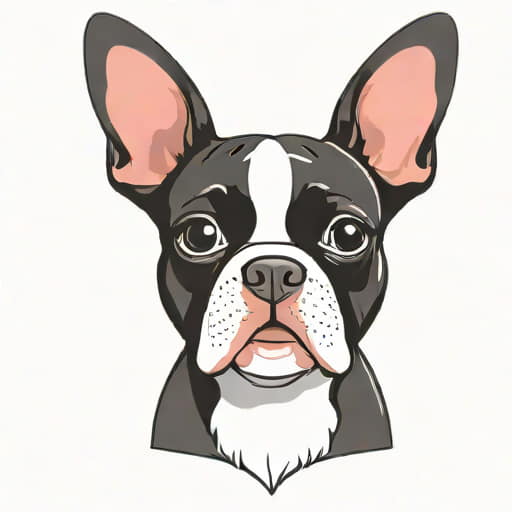 Videos Boston Terrier