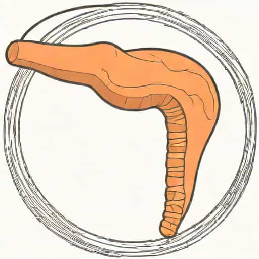 Vocal Cord Innervation