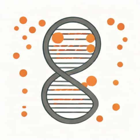 What Can Cause Dna To Mutate