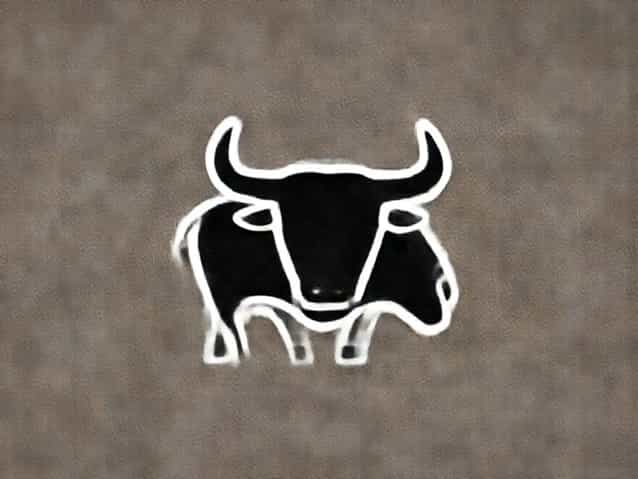 What Do You Call A Bullfight