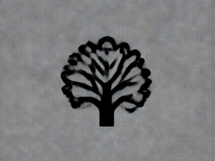 What Does Shrubbery Mean