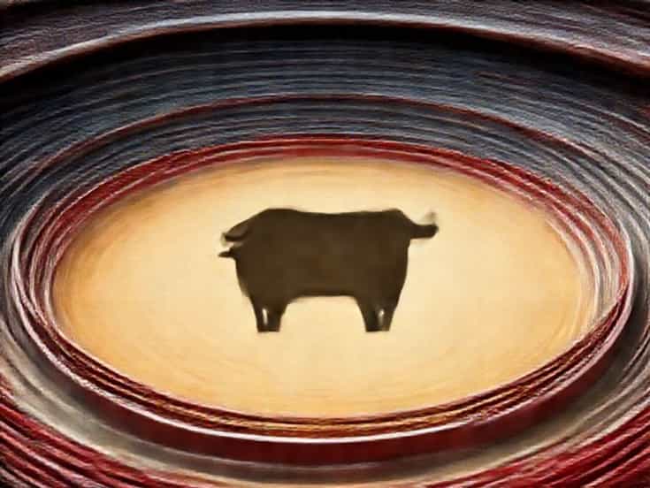 What Is A Bullring
