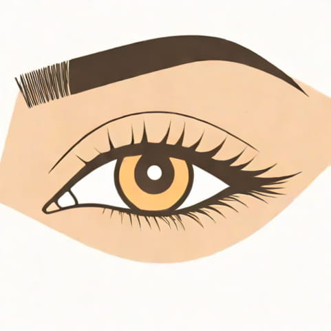 What Is The Best Under Eye Concealer