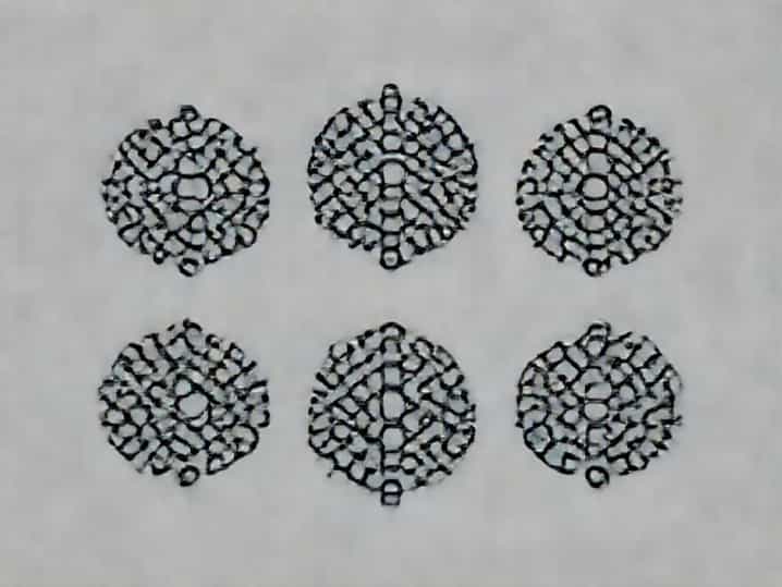 7 Celled 8 Nucleate