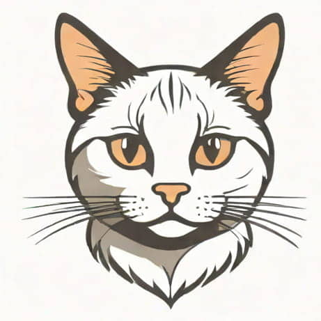Cat Is Still Skittish After A Year
