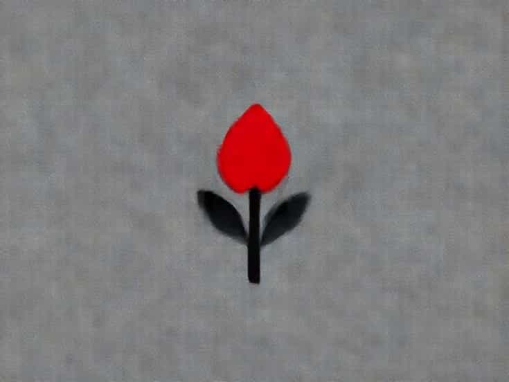 Dicarlos Red Bud Il