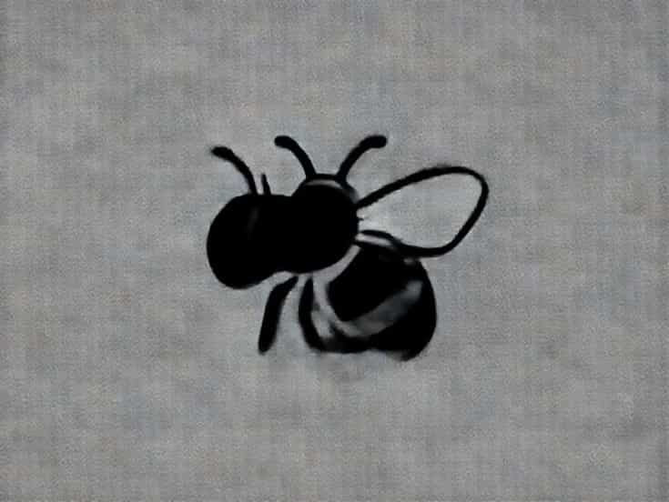 Do Carpenter Bees Sting