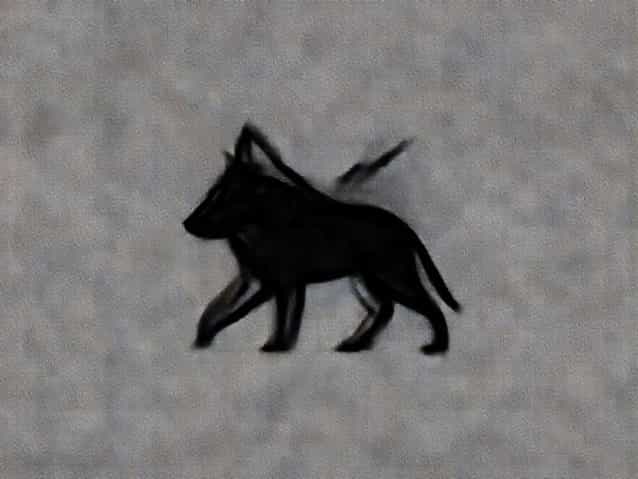 Great Wolf Lodge Az