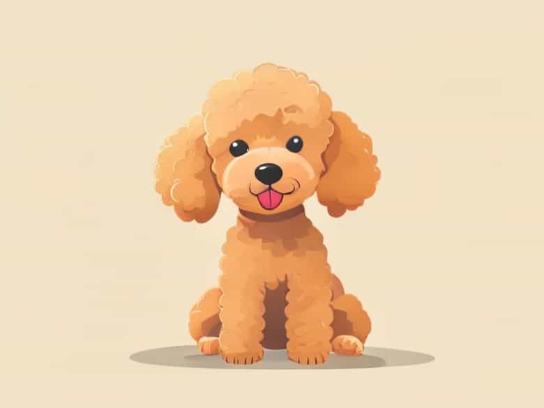 How Much Is A Toy Poodle