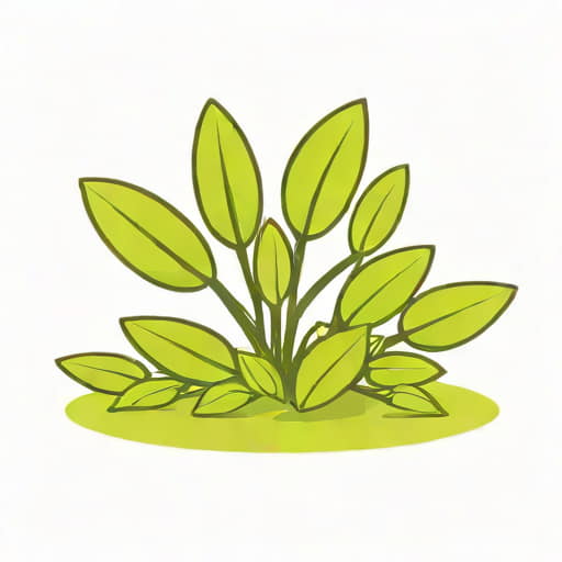 Kill Prostrate Spurge