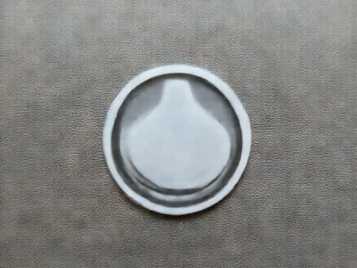 Non Adhesive Nipple Covers