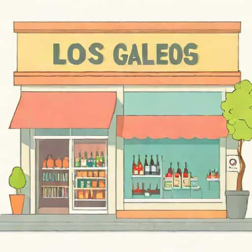 Shopping Los Gallegos